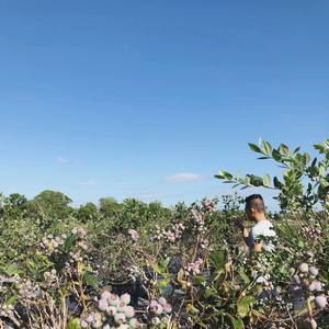 Meet your Posher, Guynh